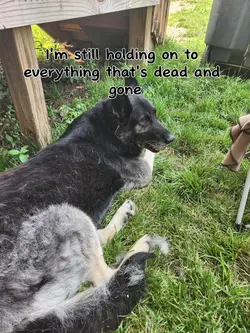 rip Abby 
