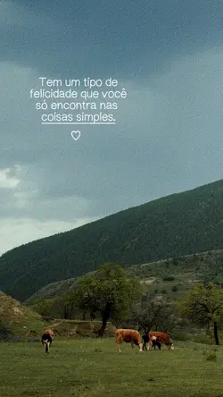 Coisas simples