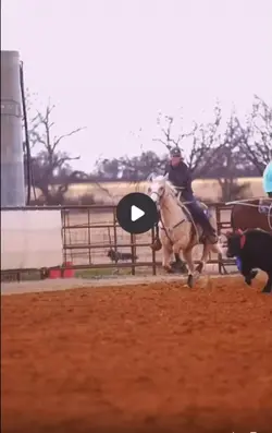 calf roping?? 