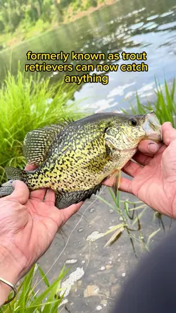 My first fish 🎣🗣️