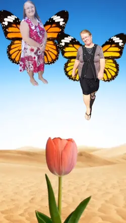 trend borboleta 