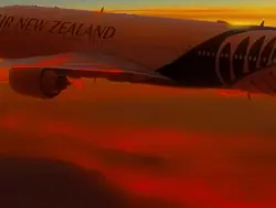 🖤Air New Zealand🖤