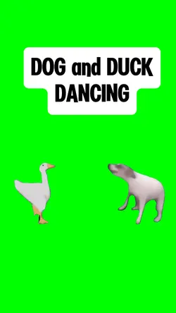 DOG and DUCK DANCING