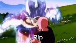 Ultra instinct 