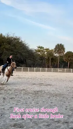  I Love my mare 