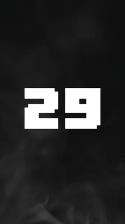 29