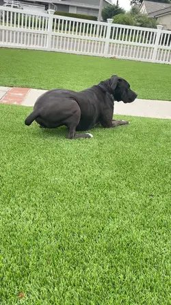 Hover