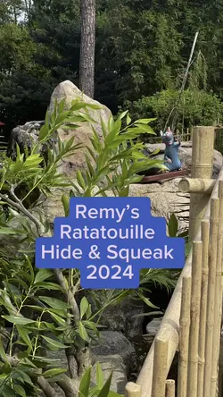 Remy 2024