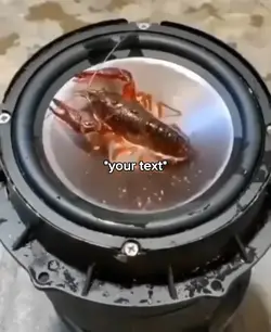 🦞🦞🦞
