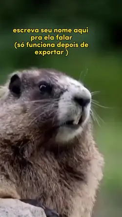 coloque seu nome