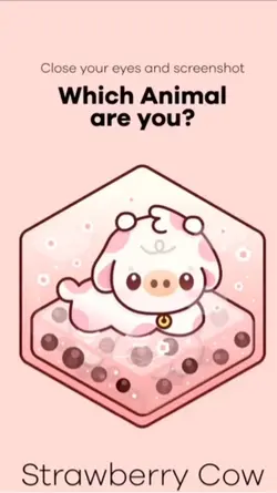 What are yo
