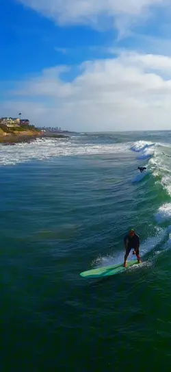 Blue Wave