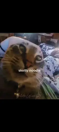 skedah noughdal