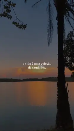Frases🤍