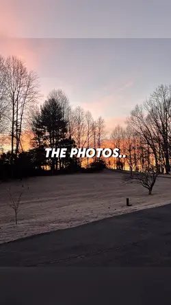Photographer 📸