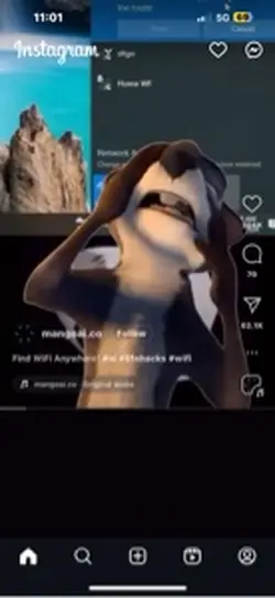 MAAM