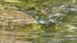 Relax water ASMR 80