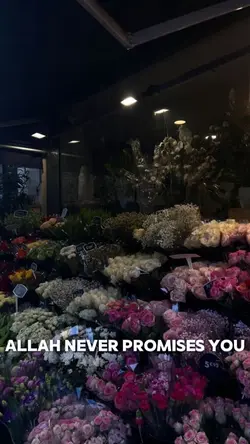 Allah never promises