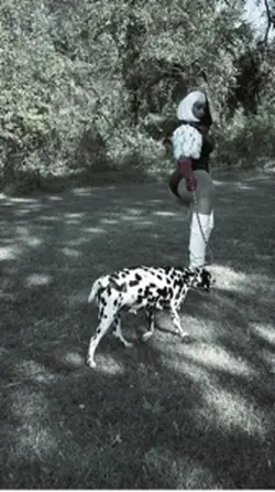 Cruella