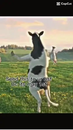 It’s may 1st<33