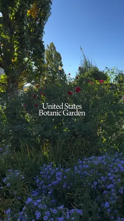 Botanical Garden