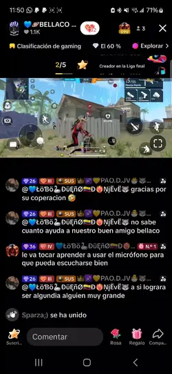 lobo