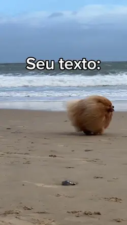 Coloque seu texto 
