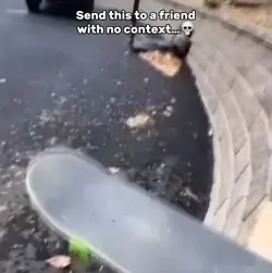 Skateboard Edit