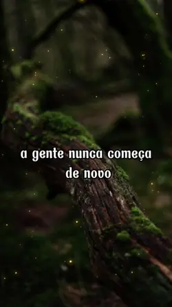 reflexão