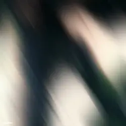 Free Toji edit