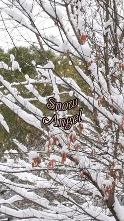 Snow Video Template