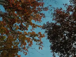 Colorgrade cinematic