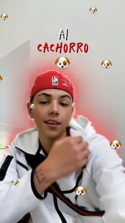 AI CACHORRO🐶
