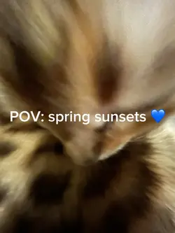 Spring sunsets 💙