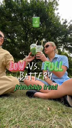 full battery friend 