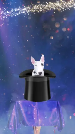 Magic Hat Trick