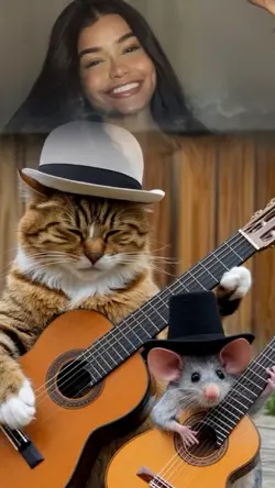 Gato e ratinho guns