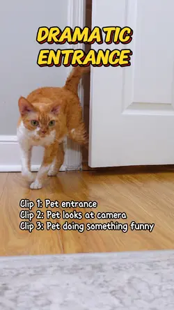 Dramatic Entrance 