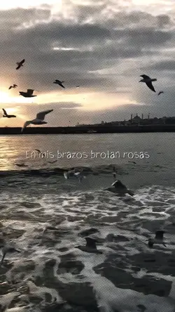 Slowmo + filter 