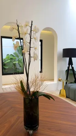 Arquitetura 