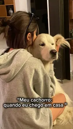 Meu cachorro🎁
