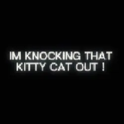 kitty cat out!