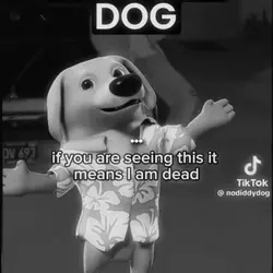 rip no diddy dog 🕊️💕
