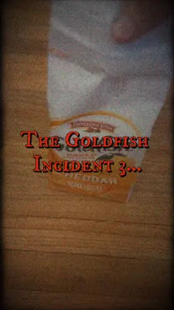 Goldfish Incident 3
