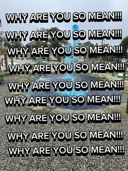WHY ARE YOU SO MEAN!