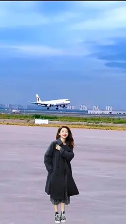 The plane lands