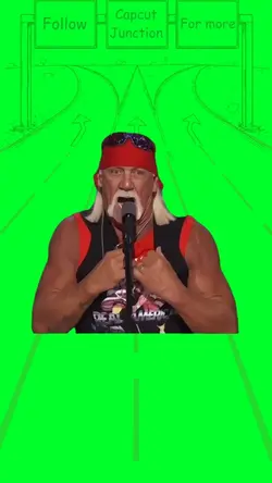 Hulk Hogan shirt 