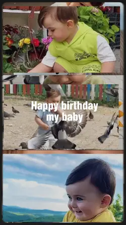 aniversário 