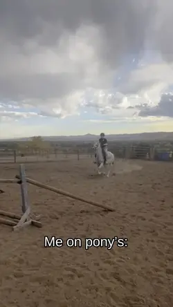 Ponys are lifestyle