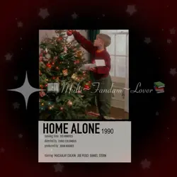 Home Alone🎄🎄